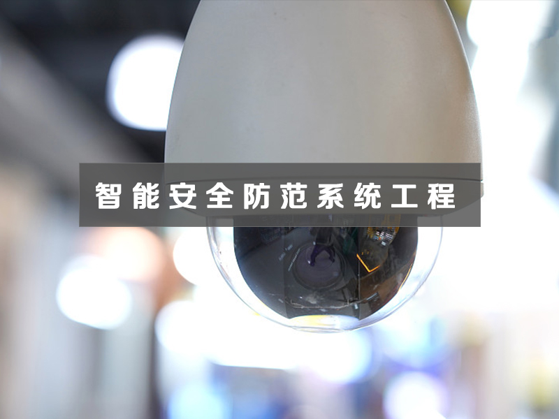 智能安全防范系統(tǒng)工程